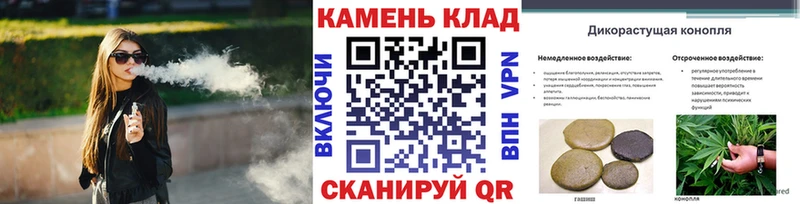 как найти наркотики  Зверево  Гашиш Cannabis 
