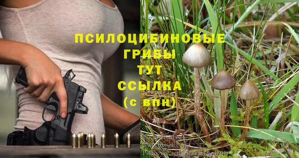 гидропоника Билибино
